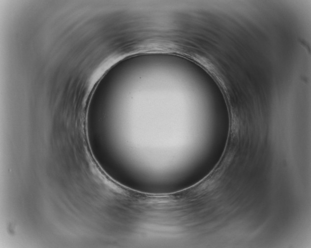 X0000102821486200808251059