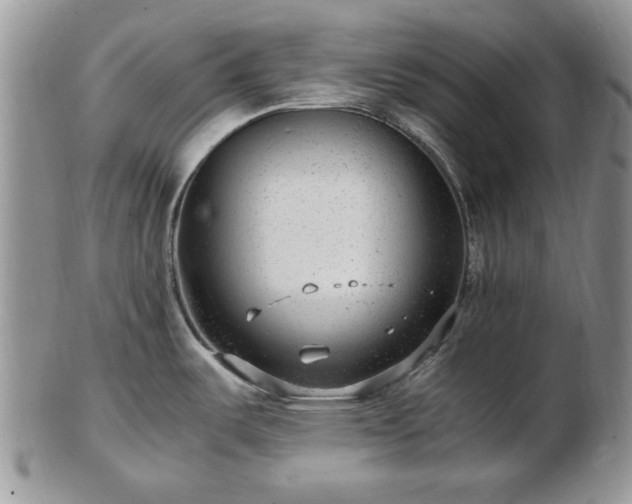 X0000102821487200808251059