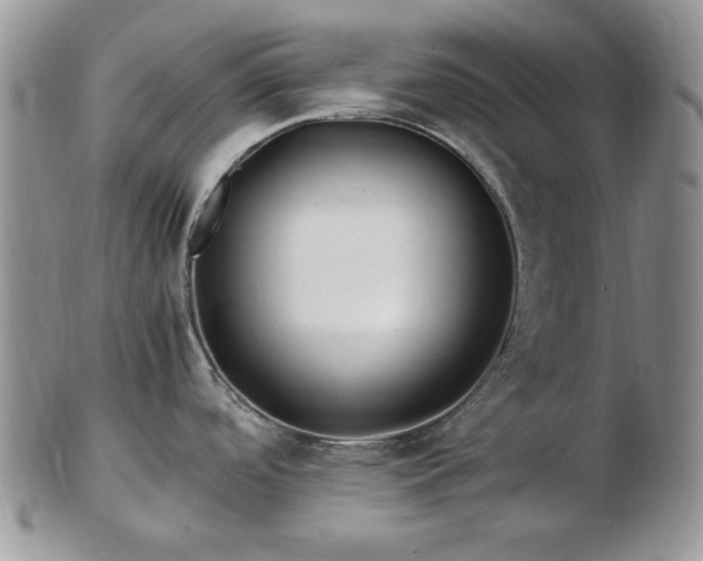 X0000102821488200808251059