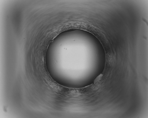 X0000102821489200808251058