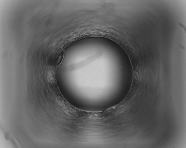 X0000102821490200808251058