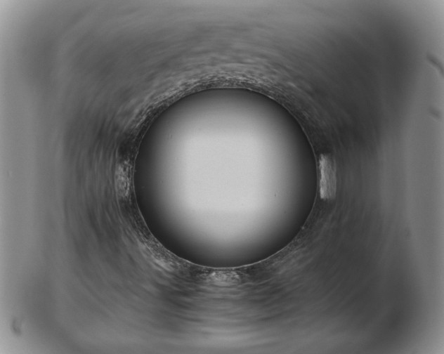 X0000102821491200808251058
