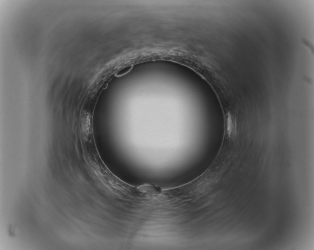 X0000102821492200808251058
