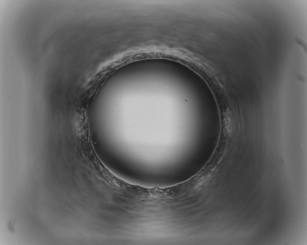 X0000102821494200808251058