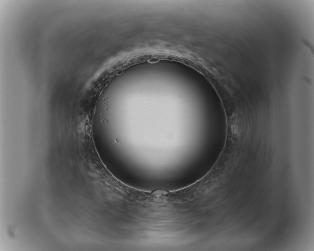 X0000102821495200808251058