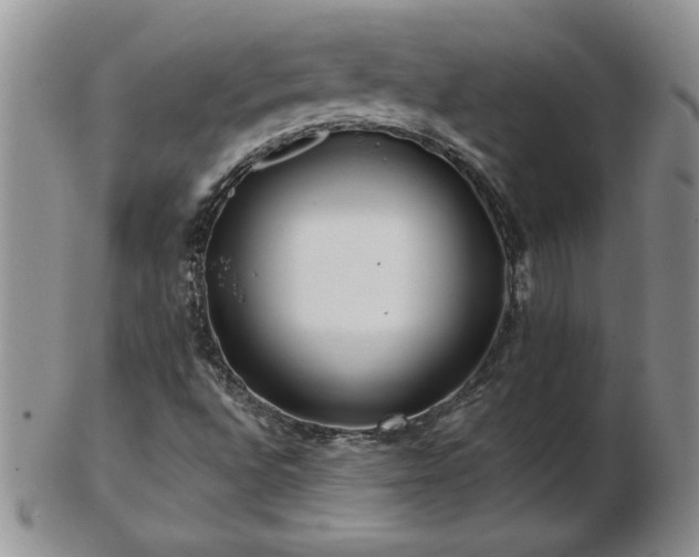 X0000102821496200808251058