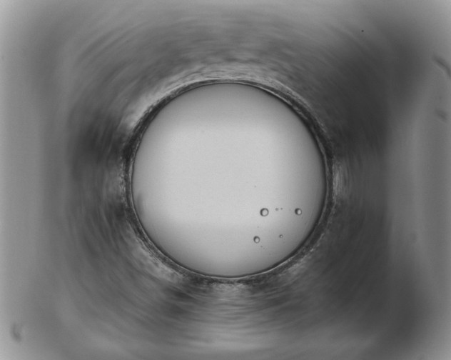 X0000102821498200808251058