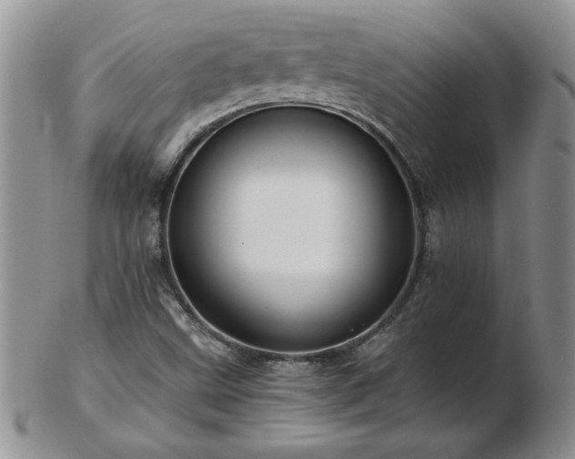 X0000102821499200808251058