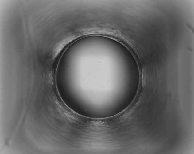X0000102821501200808251058