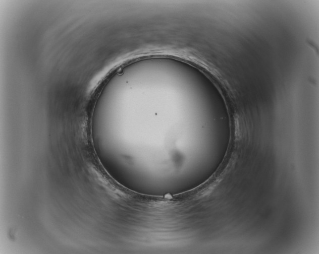 X0000102821502200808251058