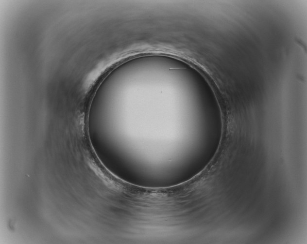 X0000102821503200808251058
