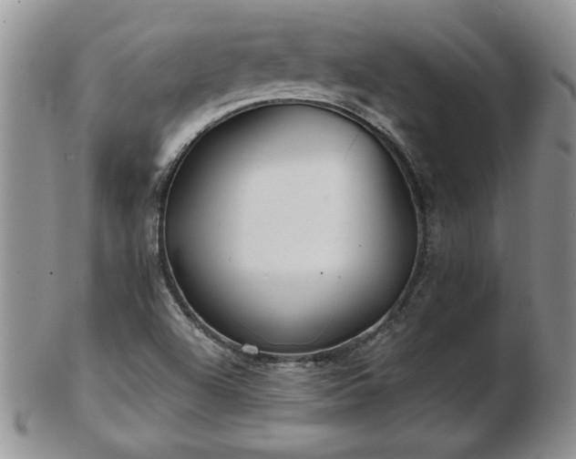 X0000102821504200808251058