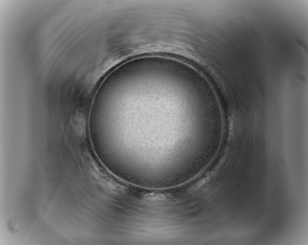 X0000102821505200808251058