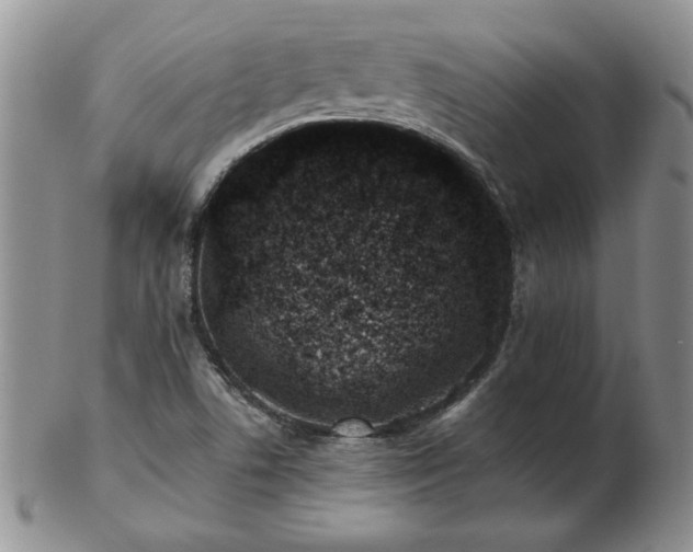 X0000102821506200808251058