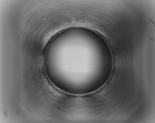 X0000102821507200808251058