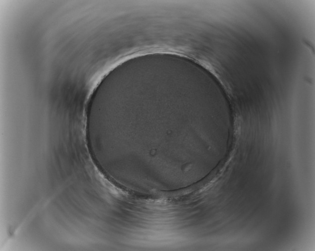 X0000102821508200808251058
