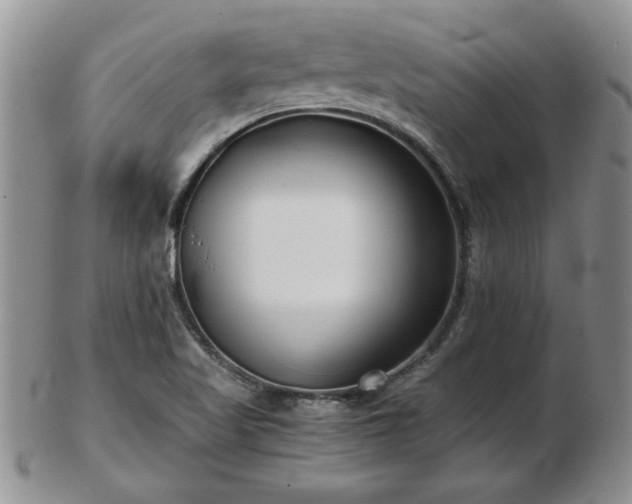 X0000102821509200808251058