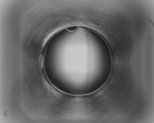 X0000102821510200808251058