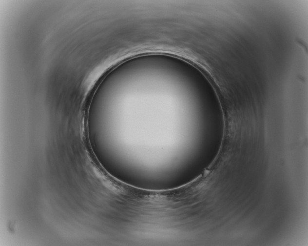 X0000102821511200808251058