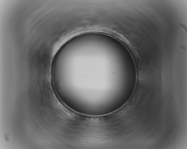 X0000102821512200808251058