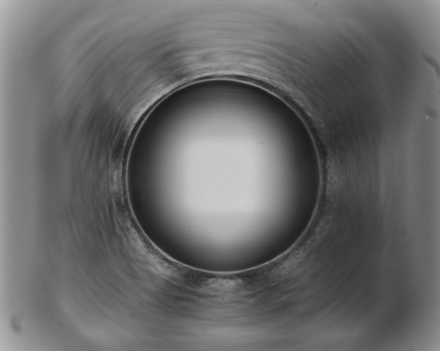 X0000102821513200808251058