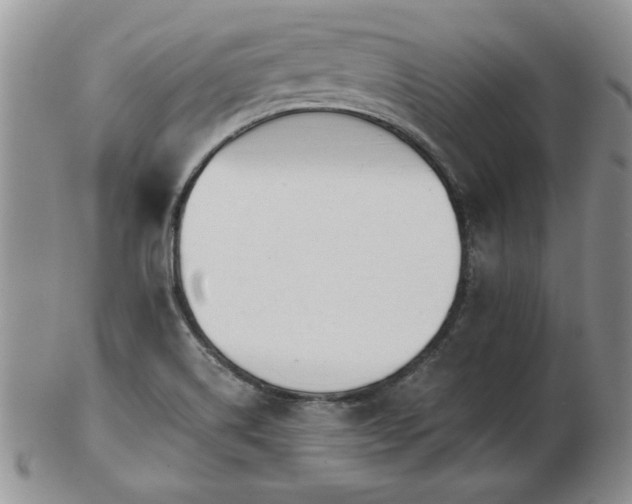X0000102821514200808251059