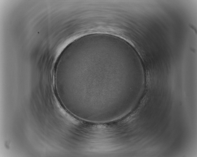 X0000102821515200808251059