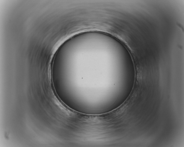 X0000102821516200808251059