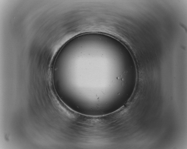 X0000102821517200808251059