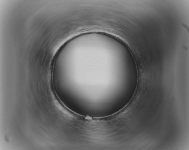 X0000102821518200808251059
