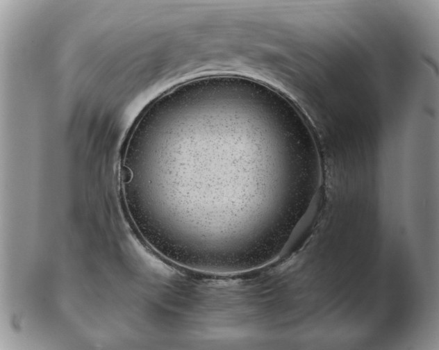 X0000102821519200808251059