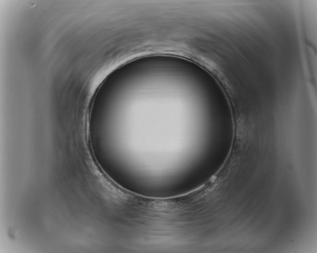 X0000102821520200808251059