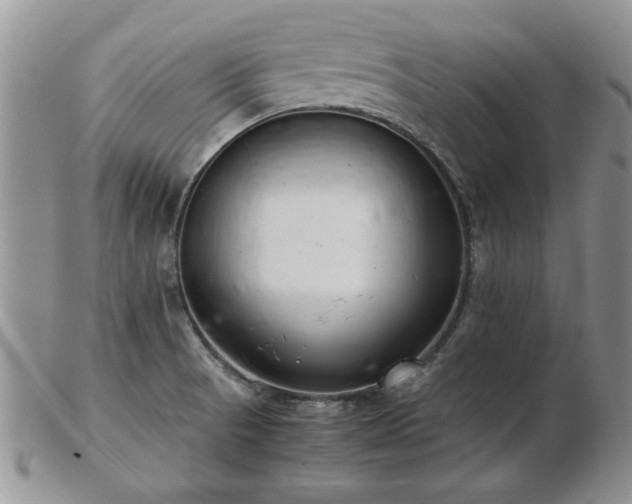 X0000102821521200808251059