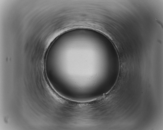 X0000102821523200808251059