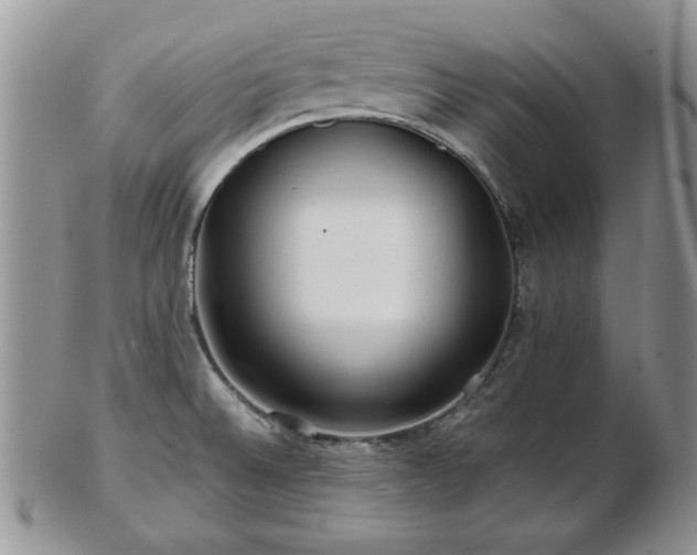 X0000102821524200808251059