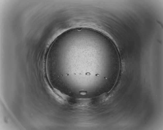 X0000102821525200808251059