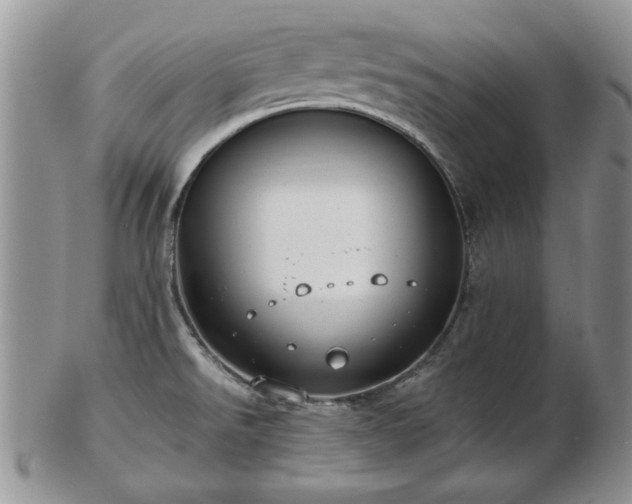 X0000102821526200808251059