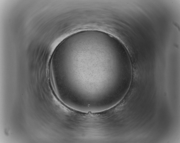X0000102821527200808251059