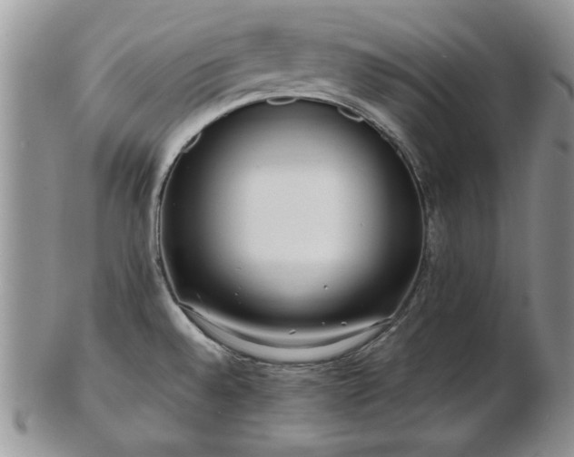 X0000102821528200808251059