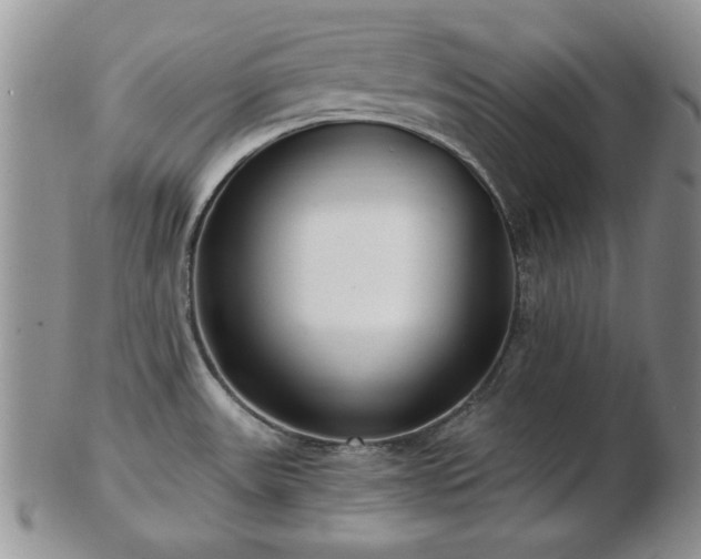 X0000102821531200808251059