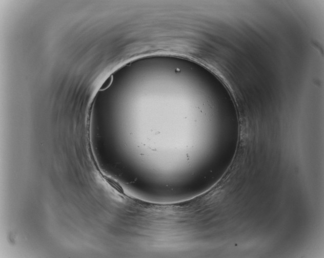 X0000102821532200808251059