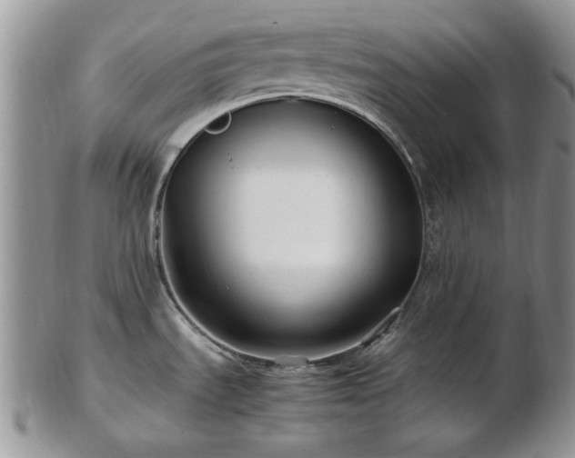 X0000102821535200808251059