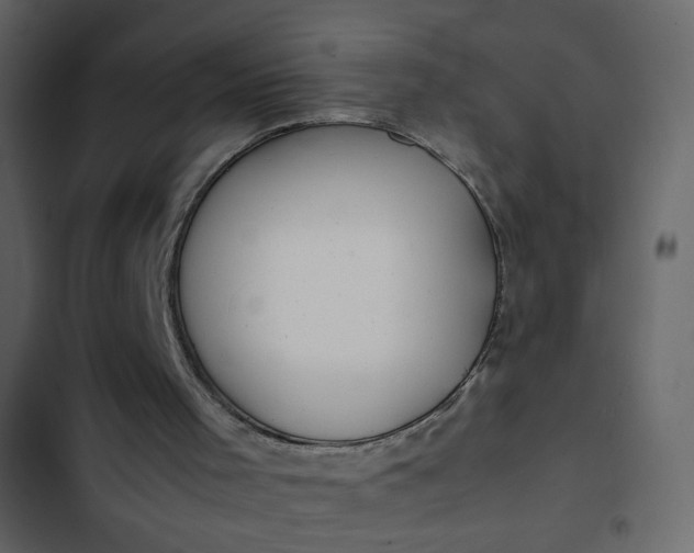 X0000102820001200809021301