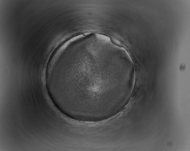 X0000102820002200809021301