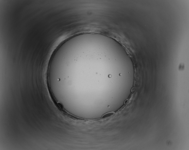 X0000102820003200809021301