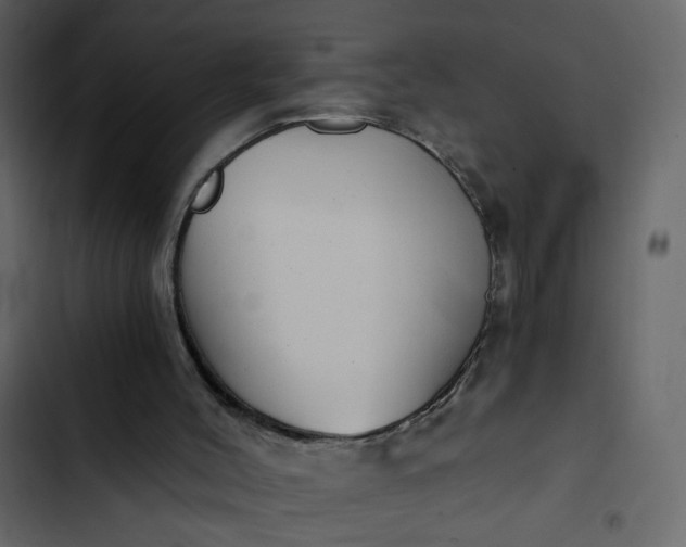X0000102820004200809021301