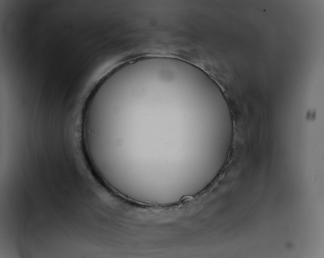 X0000102820005200809021301