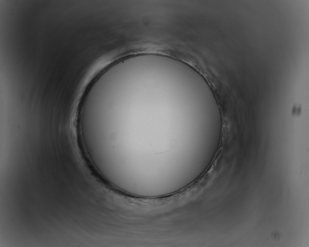 X0000102820006200809021301