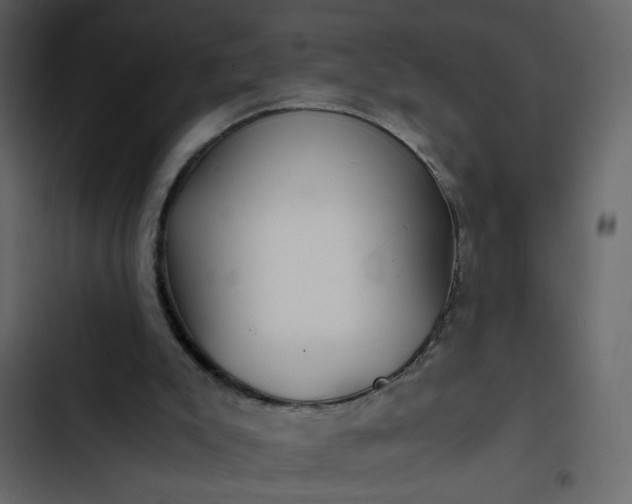 X0000102820007200809021301