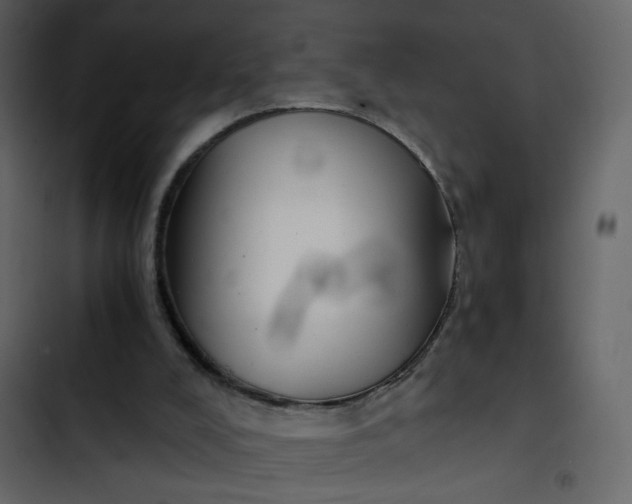 X0000102820008200809021301
